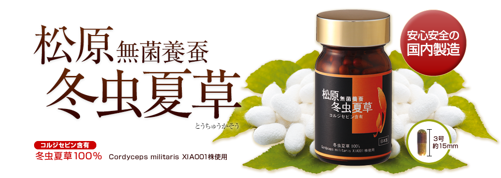 松原無菌養蚕冬虫夏草